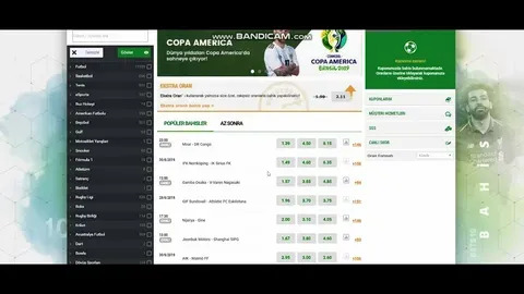 393bet win 