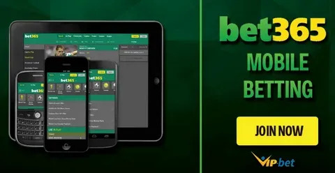 8bet app 