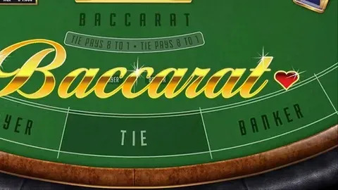 c77 bet 