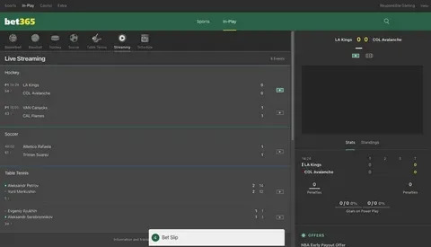 camisa oficial palmeiras sportingbet 