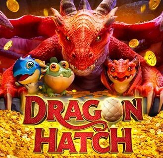 jogo do tigrinho bonus 
