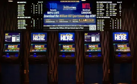 melhor horário para jogar fortune tiger de madrugada 