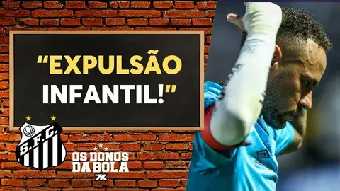 palmilha soft works 