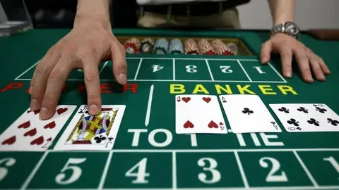 site para criar cassino online 