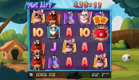 winner bet 